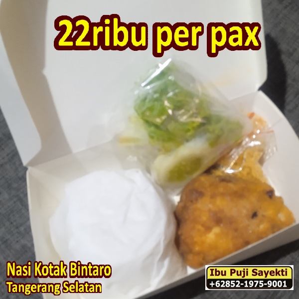 nasi kotak bintaro